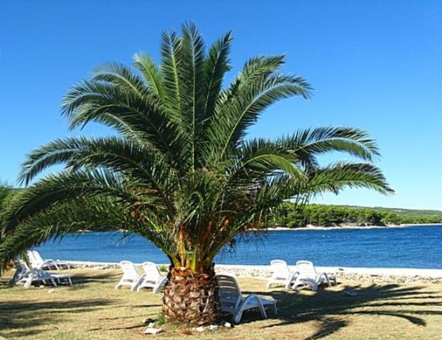 Villa Mia Casa Супетар Екстер'єр фото